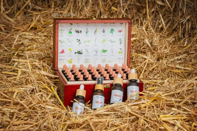 Er zijn 38 soorten bloesemremedie